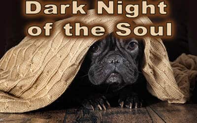 Dark Night of the Soul